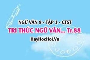 Soạn bài Tri thức Ngữ Văn trang 88 lớp 9 tập 1 Chân trời sáng tạo